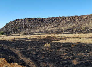 Free State farmers urged to prepare for wildfire season