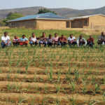 limpopo-school-garden
