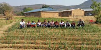 limpopo-school-garden