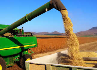 51% decline in operating profit for Astral Foods