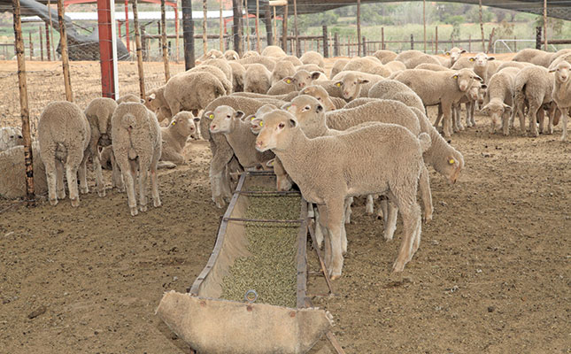 Self-made farmer shares his success story Self-made farmer shares his success story