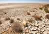 New UN agreement aims to stem the tide of desertification