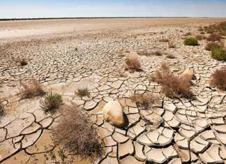 New UN agreement aims to stem the tide of desertification