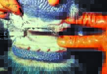 ‘Cost of FMD outbreak could reach R10 billion’