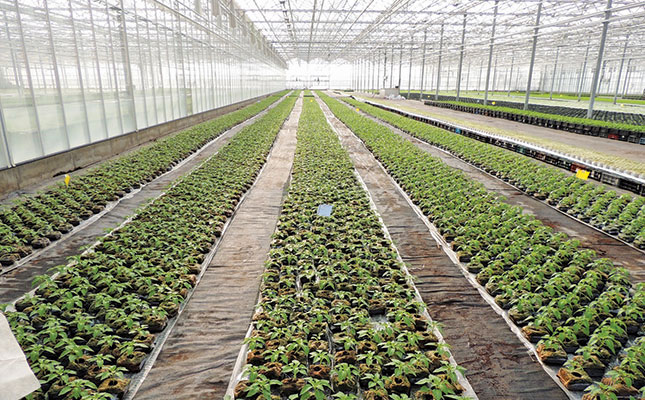 Latest trends in greenhouse technology Latest trends in greenhouse technology