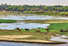 Nile River
