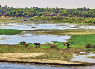 Nile River