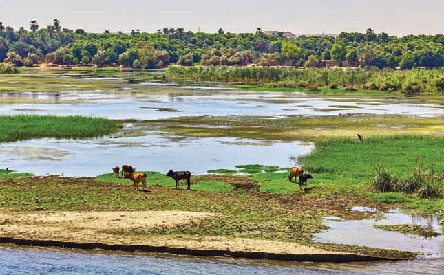 Mighty Nile River under threat in Egypt Mighty Nile River under threat in Egypt