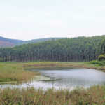 Farm dams