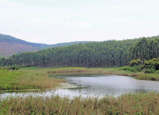 Farm dams