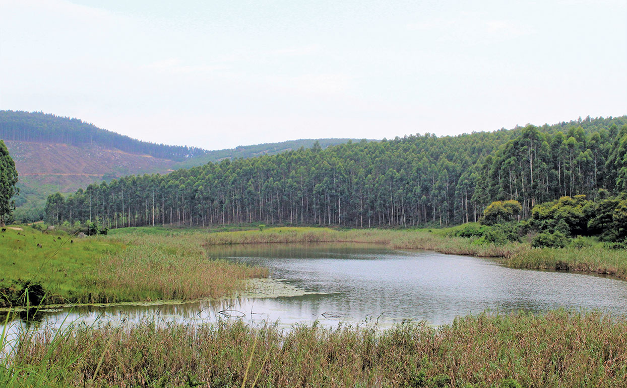 Farm dams