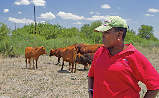Laying the foundations for commercial farming Laying the foundations for commercial farming