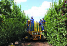 Agriculture expected to recover from poor showing in 1st quarter