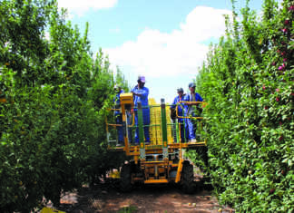 Agriculture expected to recover from poor showing in 1st quarter