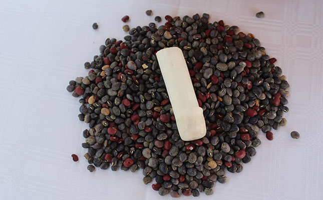 Indigenous crop seed bank for North West Indigenous crop seed bank for North West