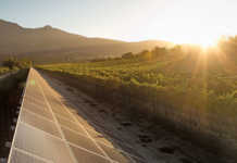 ‘New tax can help SA agriculture reduce carbon emissions’