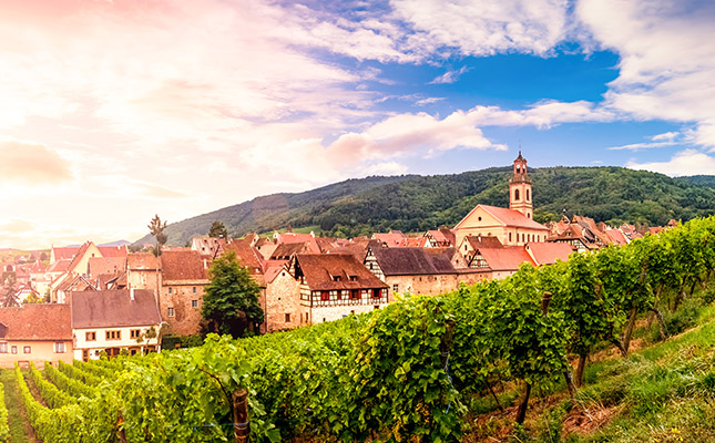 French wine production at risk from extreme heat French wine production at risk from extreme heat