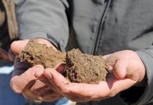Fertilisation: basic principles that every farmer should know Soil samples