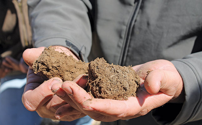 Fertilisation: basic principles that every farmer should know Fertilisation: basic principles that every farmer should know