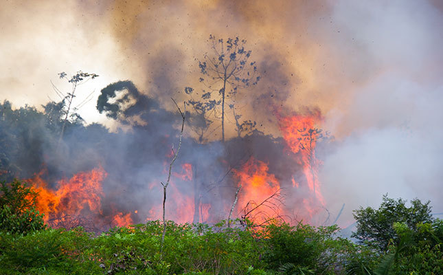 Agriculture pushing Amazon deforestation to record levels Agriculture pushing Amazon deforestation to record levels