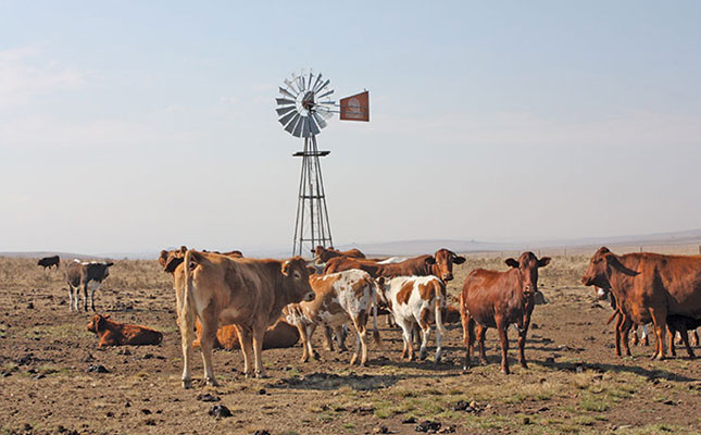 Farmers urged to vaccinate livestock proactively