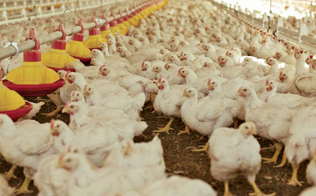 Biosecurity: not an afterthought, but a way of life on the farm Biosecurity: not an afterthought, but a way of life on the farm