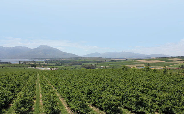 Africa’s quiet, but fierce, agri revolution