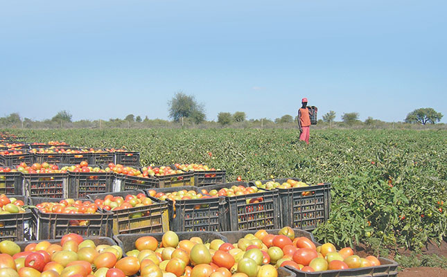 Botswana farmers want permanent ban of vegetable imports Botswana farmers want permanent ban of vegetable imports