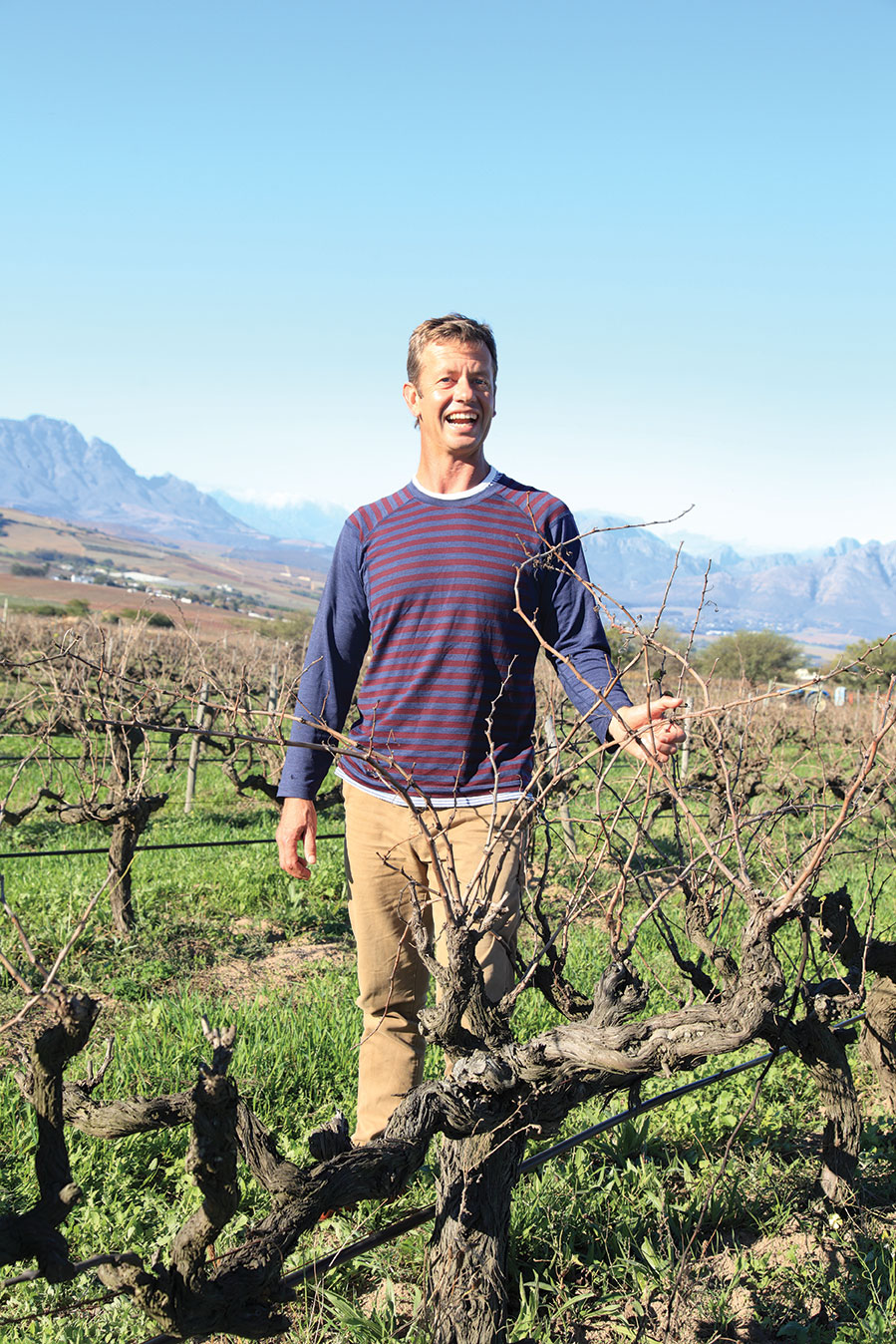 Johan Reyneke Organic winemaking: where nature sets the pace