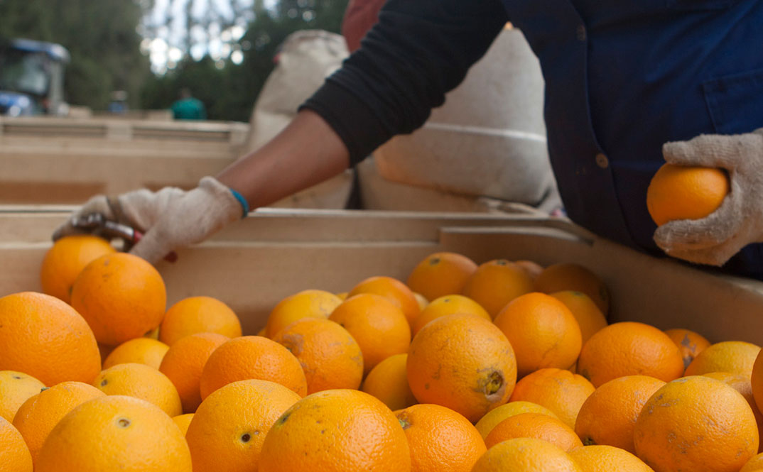 What to do about farming job losses
