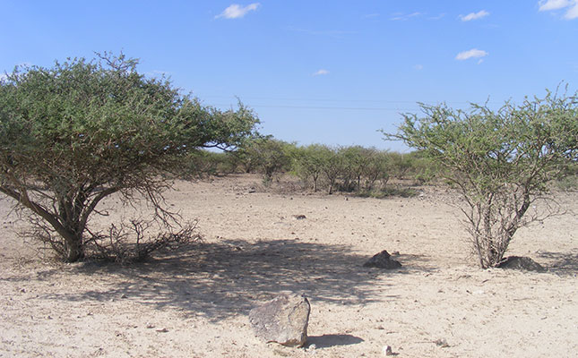 Northern Cape welcomes R30 million in drought aid Northern Cape welcomes R30 million in drought aid