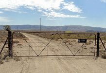 Most farm attacks in Free State farms occur over weekends