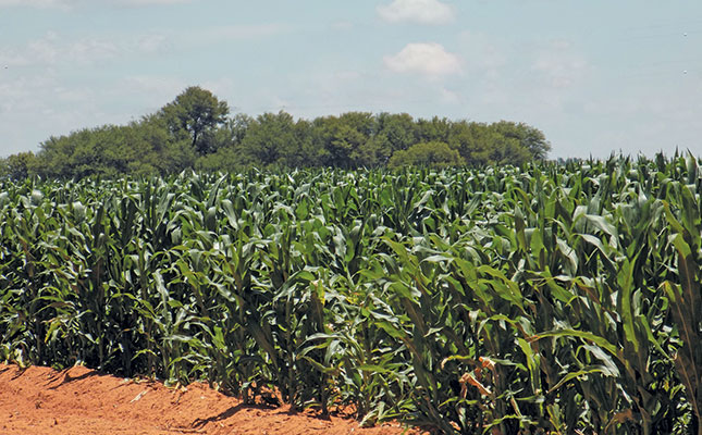 Price collusion in Zimbabwe’s hybrid seed market Price collusion in Zimbabwe’s hybrid seed market