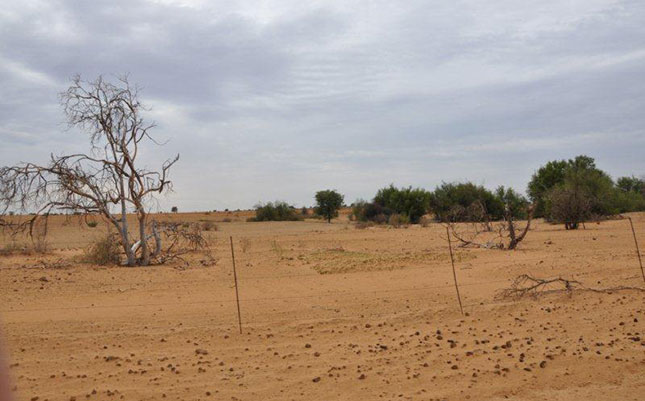 Drought now a R1,3 billion disaster Drought now a R1,3 billion disaster