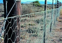 New campaign aims to pressure UN to act on on-farm crime New campaign aims to pressure UN to act on on-farm crime