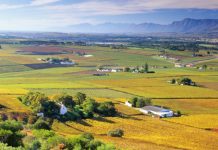 Special master appointed to deal with labour tenancy claims Special master appointed to deal with labour tenancy claims