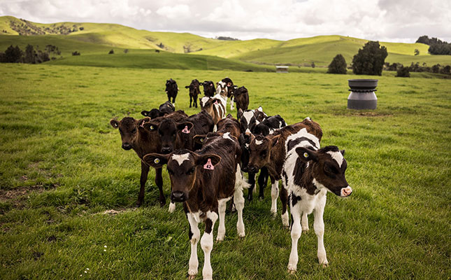 New Zealand adds methane loophole for farmers in carbon bill New Zealand adds methane loophole for farmers in carbon bill