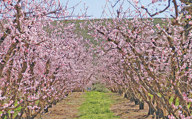 How to sell careers in agriculture to millennials How to sell careers in agriculture to millennials