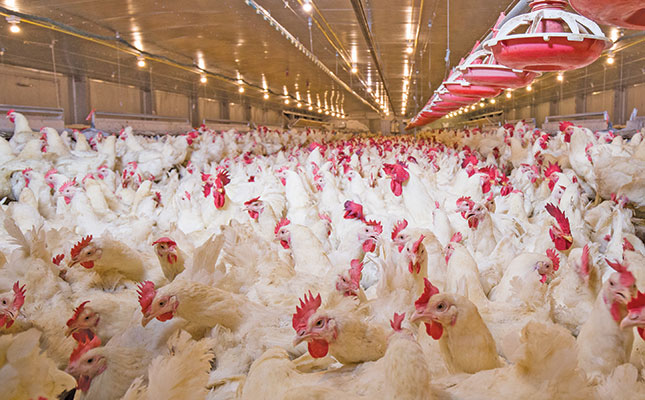 Judicious use of antibiotics in poultry production Judicious use of antibiotics in poultry production