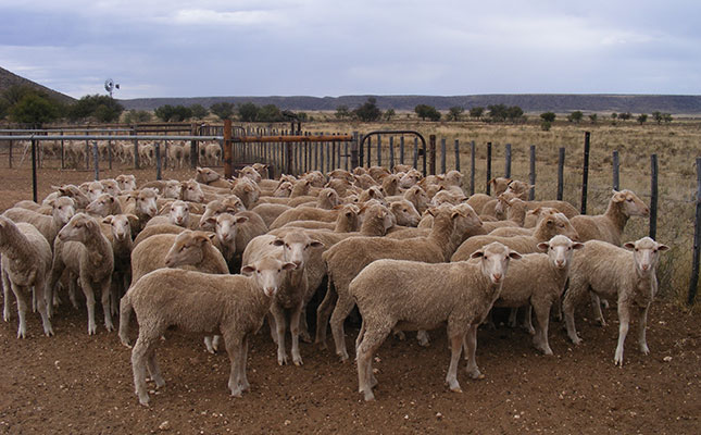 ‘Livestock producers must adapt to climate change’ ‘Livestock producers must adapt to climate change’