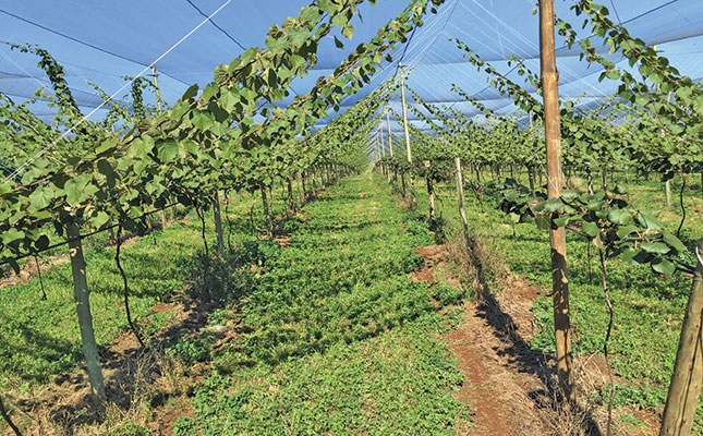 Four niche crops to boost your cash flow Four niche crops to boost your cash flow