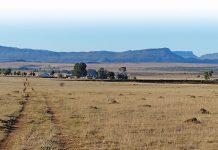 ‘ANC must urgently clarify latest land expropriation proposal’ 'ANC must urgently clarify latest land expropriation proposal'