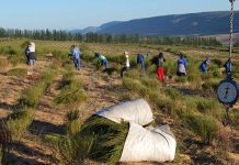 ‘SA consumers becoming better educated about rooibos health benefits’ ‘SA consumers becoming better educated about rooibos health benefits’