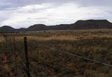 The importance of veld management after drought