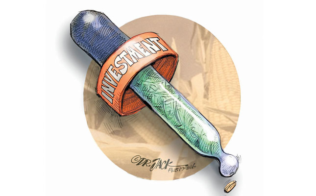 Low investment in research hampers agri growth Low investment in research hampers agri growth