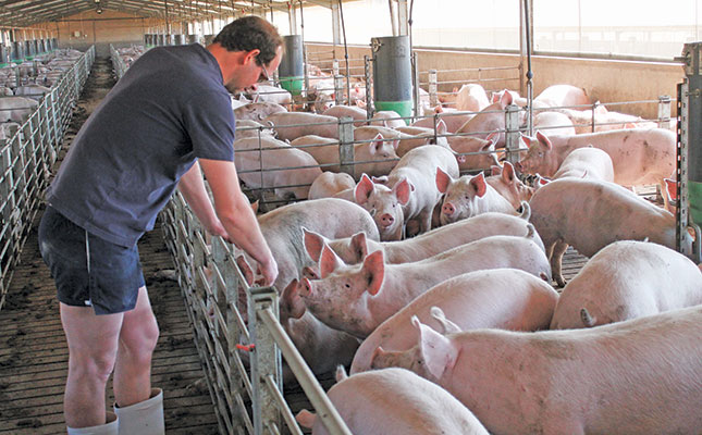 World-class operation profits from ethically produced pigs World-class operation profits from ethically produced pigs