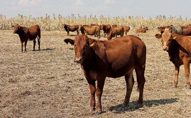 A drought action plan for livestock farmers A drought action plan for livestock farmers