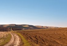 Agriculture and rural development gets 1,4% of Mboweni’s budget