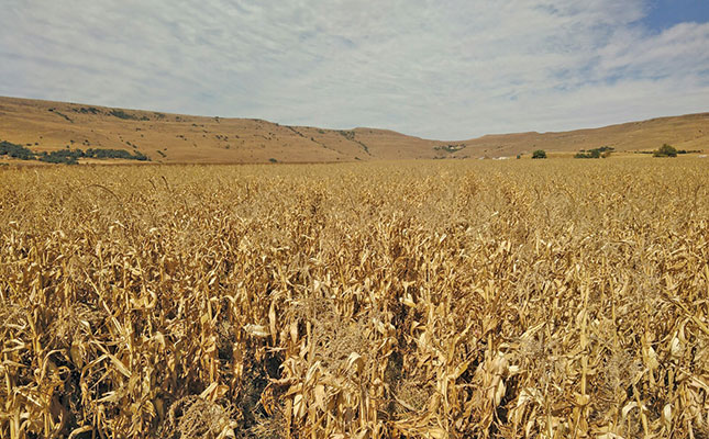 Farmer programme results in higher yields and better lives Farmer programme results in higher yields and better lives