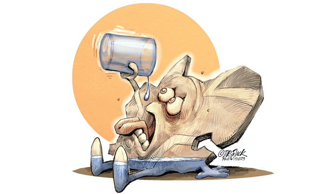 SA water crisis: Climate change not the only culprit SA water crisis: Climate change not the only culprit